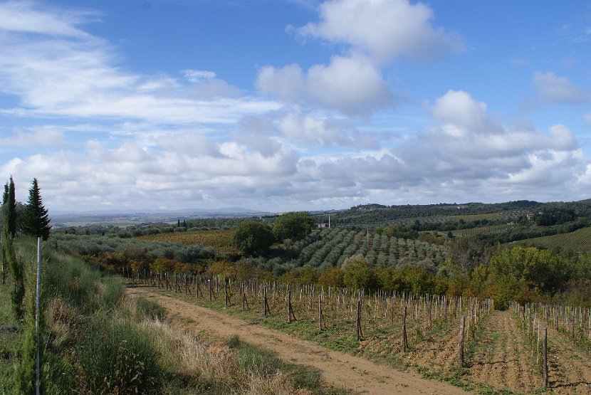 Chianti-2 2016 - 109